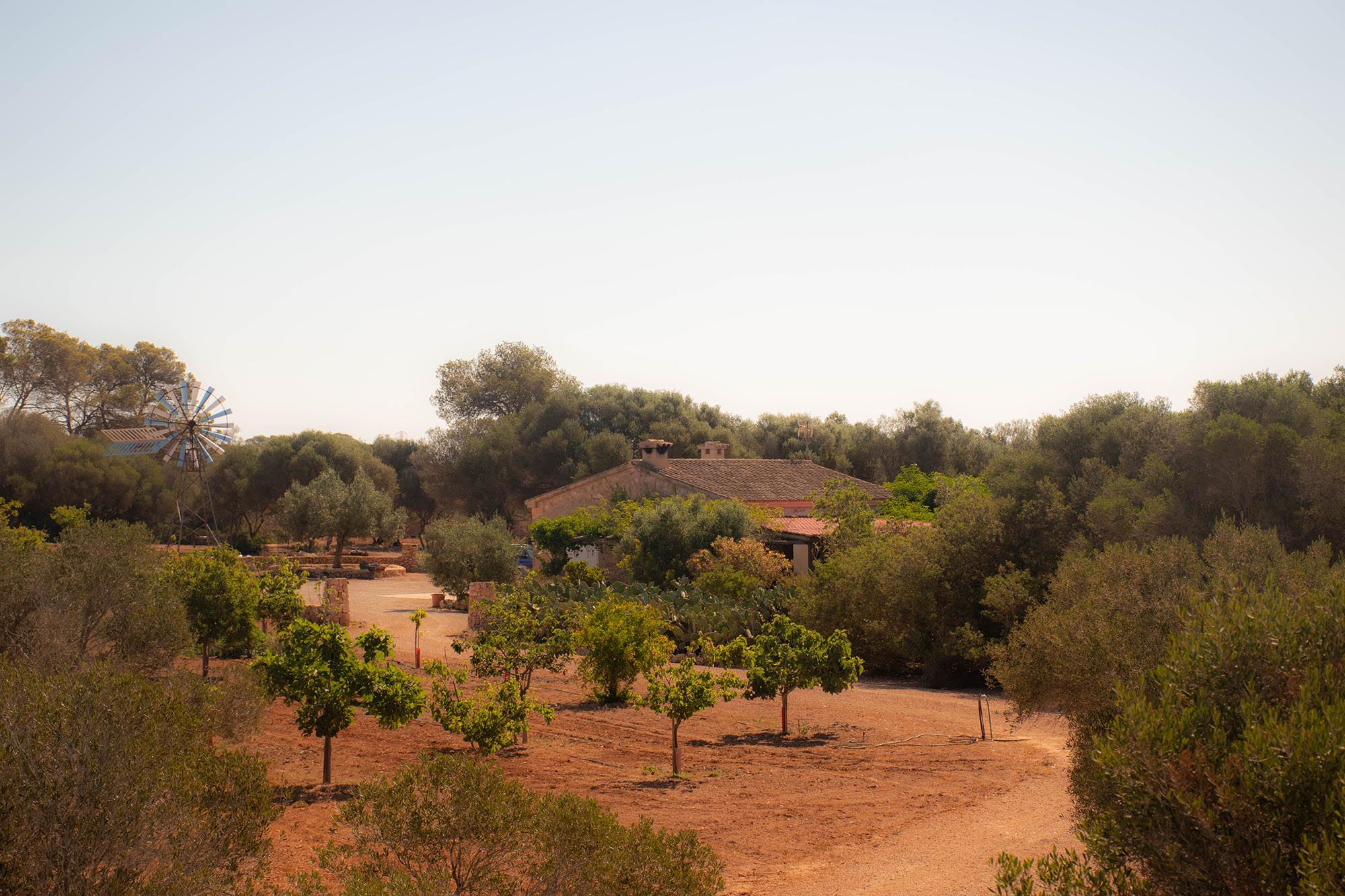 Finca Triturado Hierba